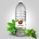 نعنا یک لیتری قباد (سنتی،شرکتی)
