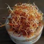 ریشه دمنوش سوپر نگین یک مثقال ممتاز بسته بندی تکی