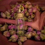 غنچه گل محمدی بسته ۲۰ گرمی 