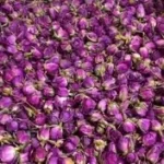 غنچه گل محمدی بسته ۲۰ گرمی