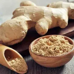 پودر زنجبیل(نمک پاش و فله)
