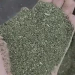 پودر نعنا(نمک پاش و فله) بسته 5 تایی