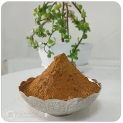 پودردارچیننمک پاش و فله