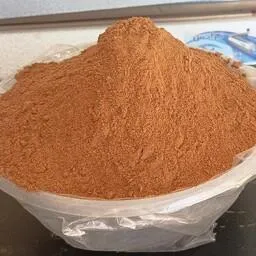پودردارچین(نمک پاش و فله)