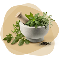 گیاهان دارویی شهر زعفران