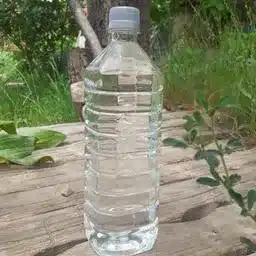 بهار نارنج (سنتی،شرکتی) تکی سنتی